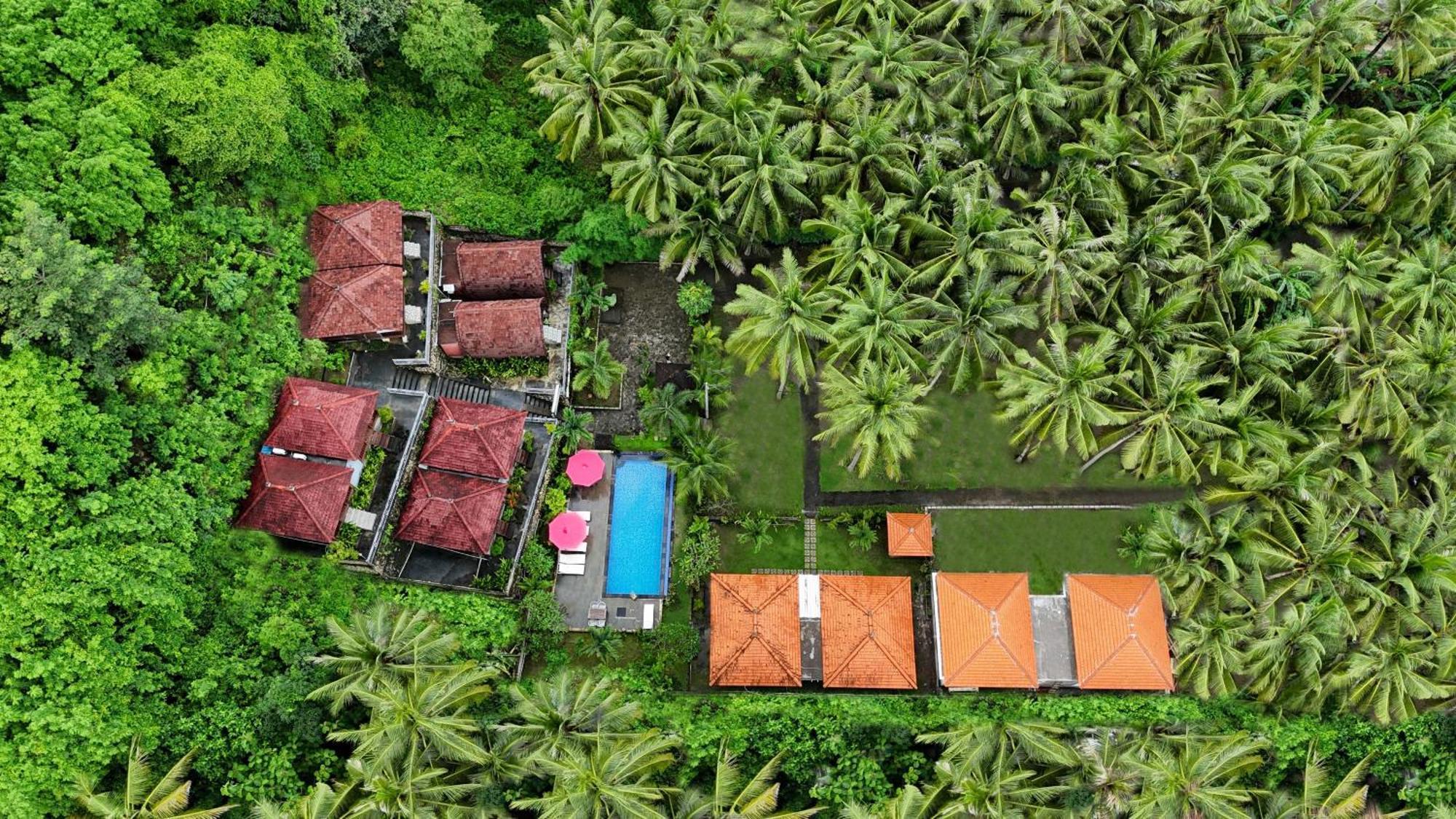 Coconut Hill Cottage Batununggul المظهر الخارجي الصورة