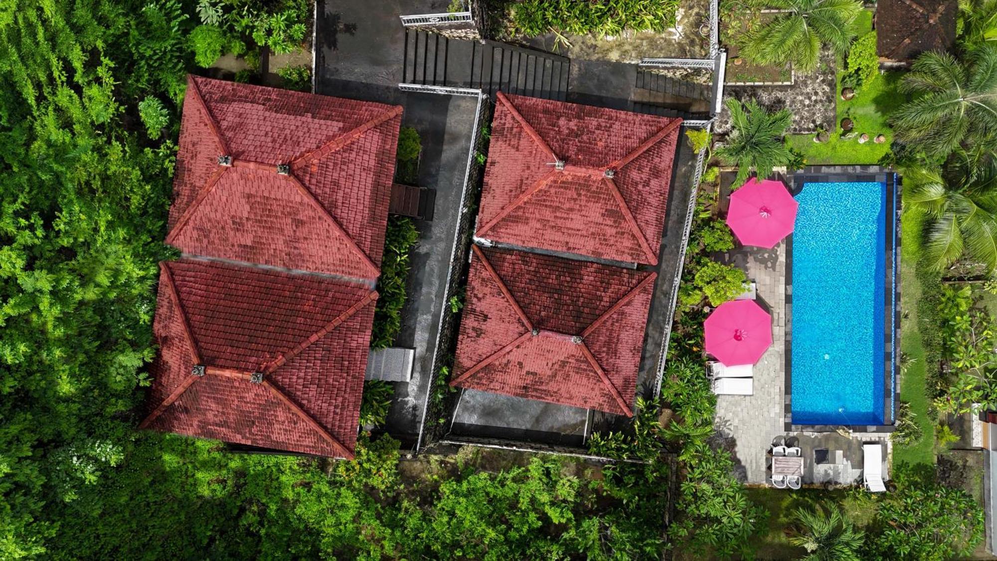 Coconut Hill Cottage Batununggul المظهر الخارجي الصورة