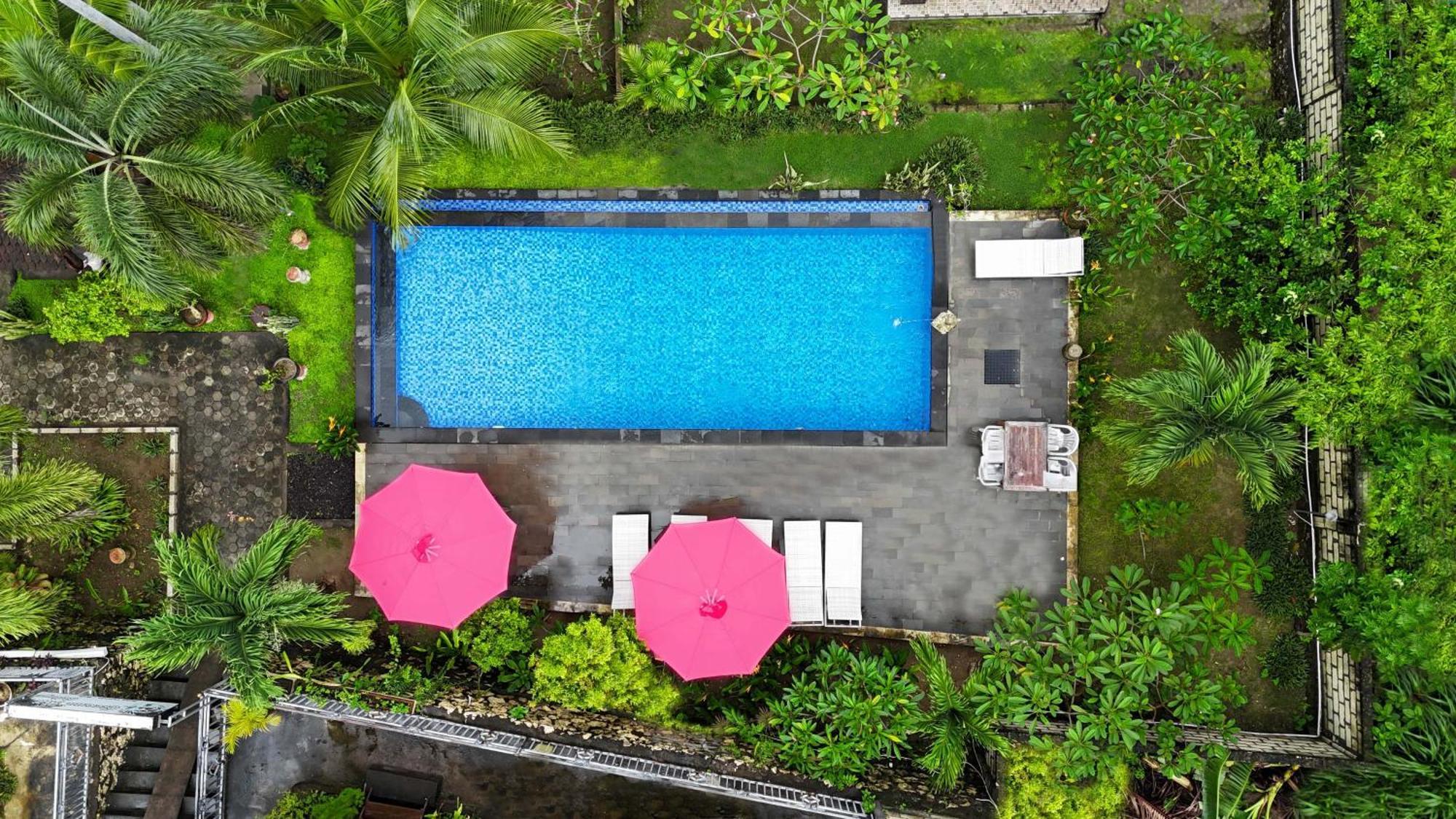 Coconut Hill Cottage Batununggul المظهر الخارجي الصورة