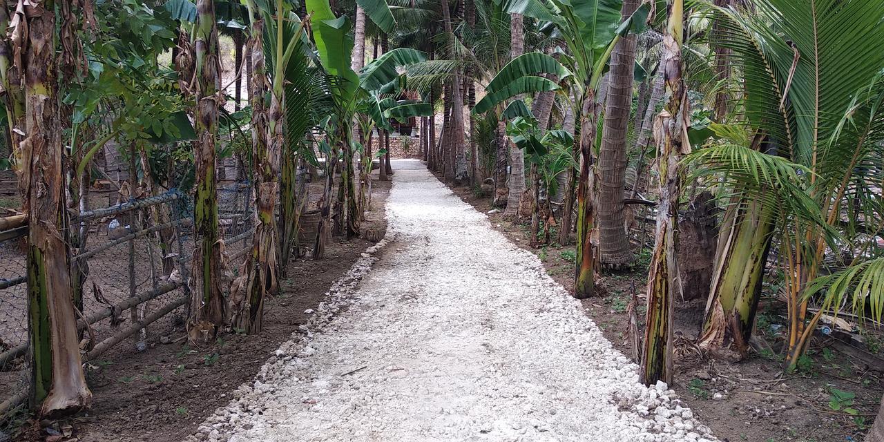 Coconut Hill Cottage Batununggul المظهر الخارجي الصورة